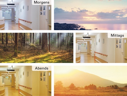 Gewinner der Kategorie C Bauen & Einrichten - Sieger 2: Derungs Licht - Visual...