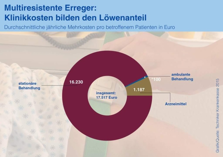 Abb.1: So verteilen sich die durchschnittlichen jährlichen Mehrkosten pro...