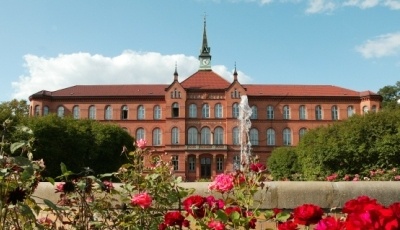 Eine Einsicht in Patienteninformationen muss laufend überwacht und...