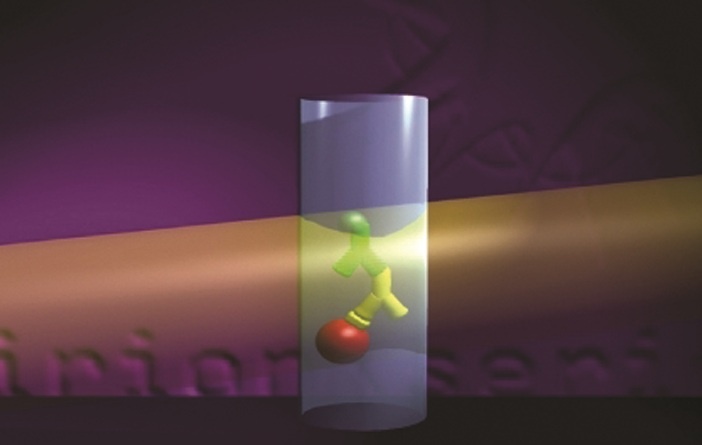 Die SERION Multianalyt-Partikel sind mit einem Fluoreszenzfarbstoff in...