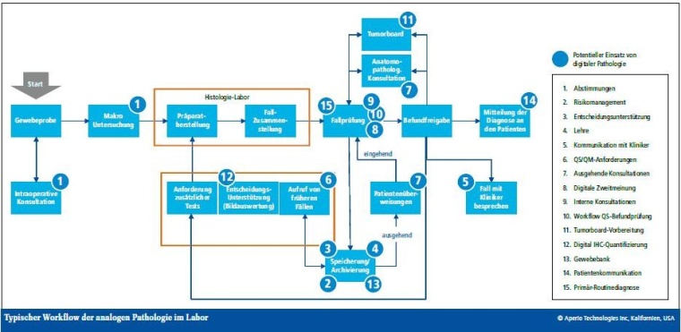 Typischer Workflow der analogen Pathologie im Labor und potenzielle...