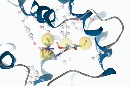 Abb. 1: Der Dopaminrezeptorantagonist Eticloprid in der Bindetasche des...