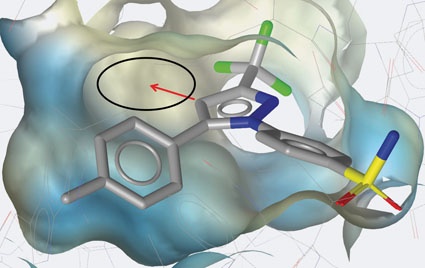 Abb. 2: Celecoxib in der Cyclooxygenase-2 Bindetasche (Protein Data Bank...