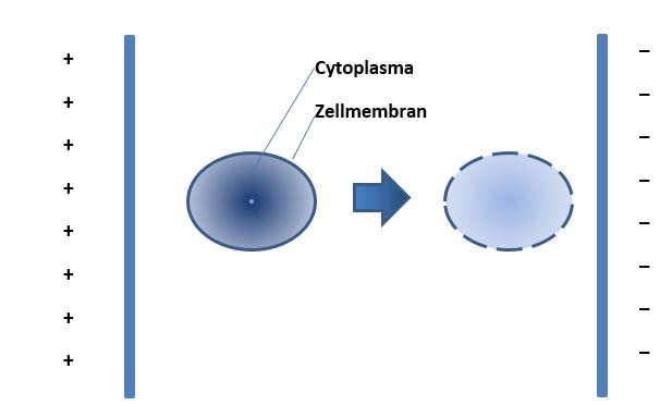 Abb. 1: Die wichtigsten vier Planungsinstrumente