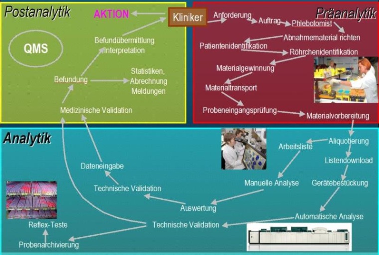 Abb. 1: Schema zum Prozessablauf von der Indikationsstellung bis hin zur...