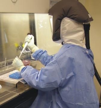 Arbeiten im Laboratorium der Schutzstufe 3 im Institut für Mikrobiologie der...