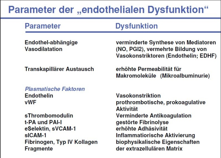 Parameter der „endothelialen Dysfunktion“