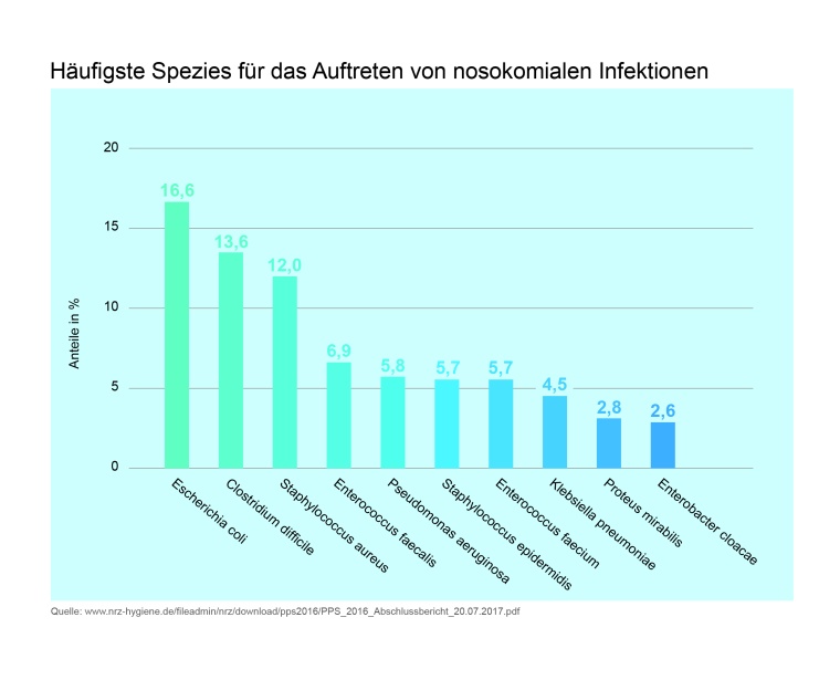 Häufigste Spezies für das Auftreten von nosokomialen Infektionen