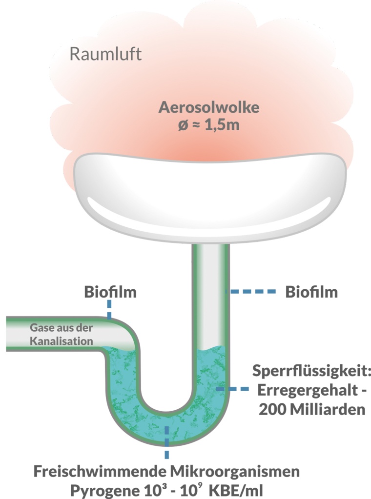 Schematische Darstellung des bakteriellen Problembereich Waschbecken/Siphon...
