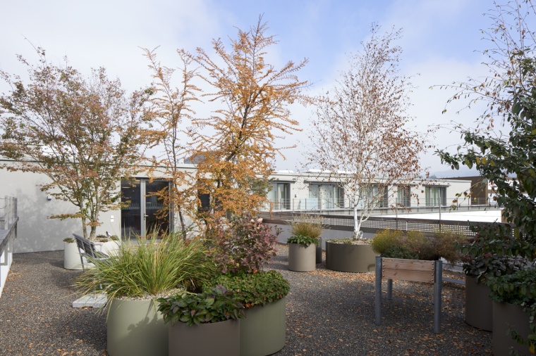 Foto: Stefan Müller-Naumann