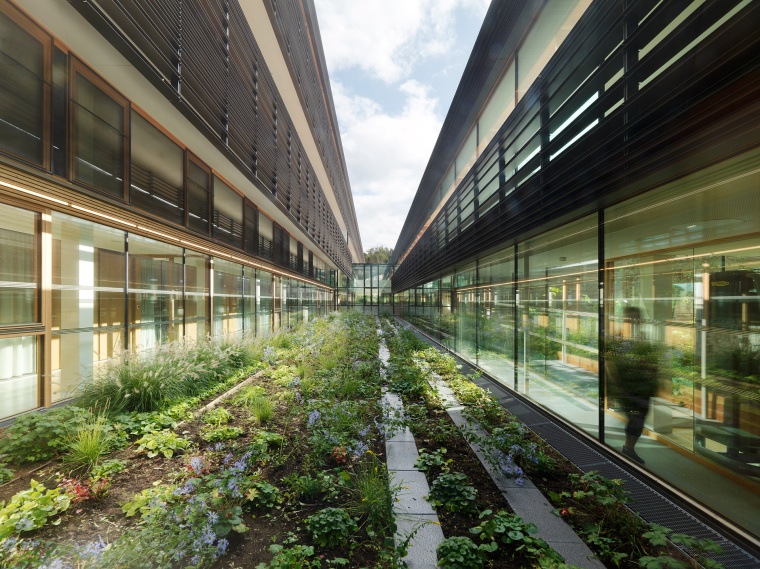 Erdgeschosszonen sind über großflächige Verglasungen in der Fassade offen...