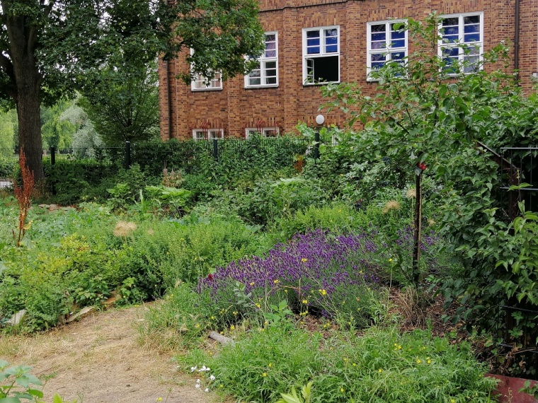 Berliner Schulgarten: See Garten am Lietzensee, Kuno-Fischer Straße 1. Foto:...