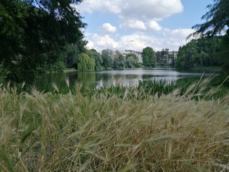 Berlin, Charlottenburg, Park am Lietzensee, Anfang Juli 2020, Ursprüngliches...
