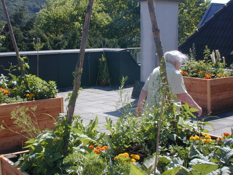 Dachgarten Bethanien e.V. Bild: H.Casper Bethanien e.V.