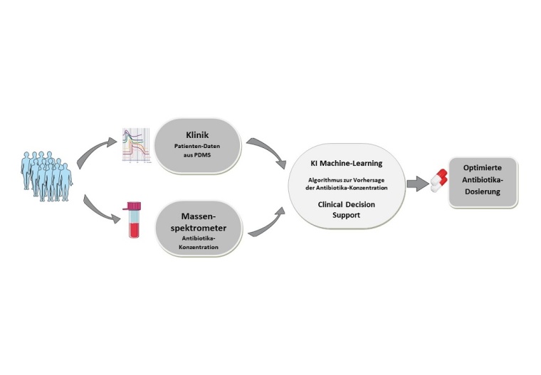 Workflow-Grafik Quelle: Barbara Sitek