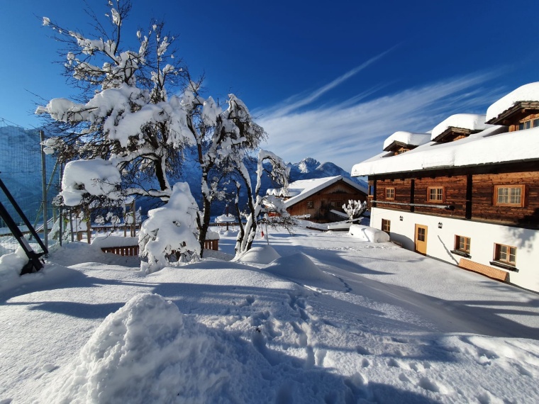 Pünktlich zum 1. Dezember hat auf dem Ederhof in Osttirol der Winter Einzug...