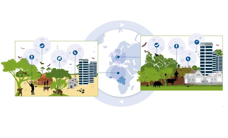 Modellregionen der One Health-Surveillance Foto: UNA[H]RT DESIGN, HIOH/UNA[H]RT...