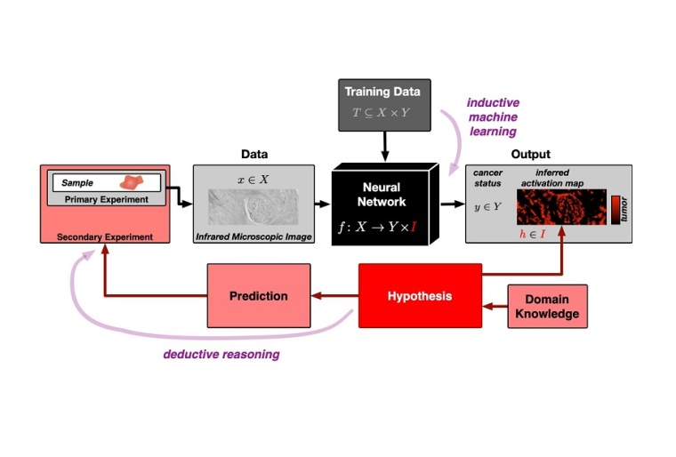 Ein neuronales Netz wird zunächst mit vielen Datensätzen trainiert, um...