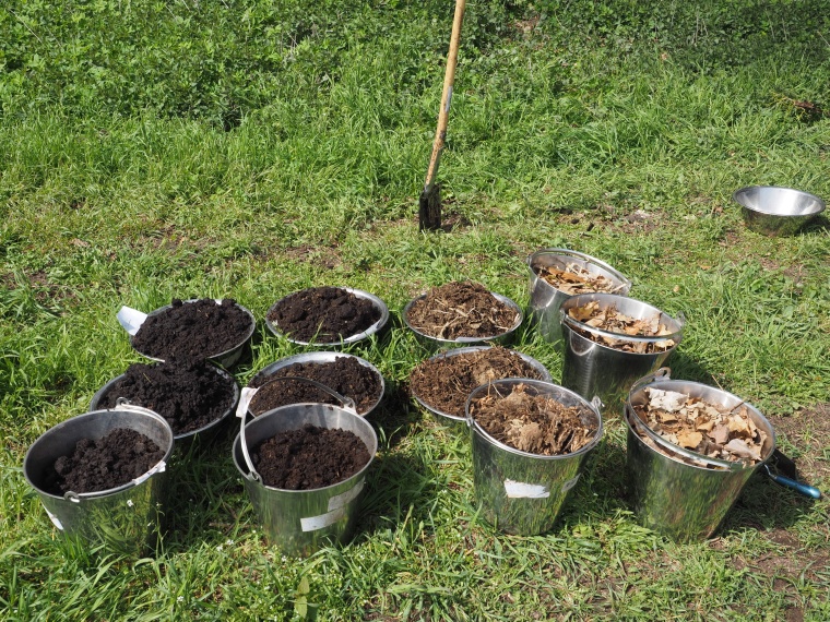 Beprobter Boden an einer hessischen Bodendauerbeobachtungsfläche. Foto: HLNUG