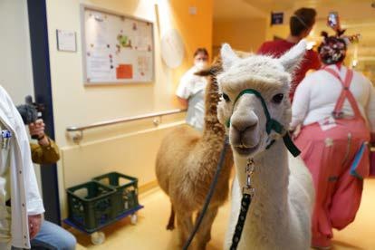 Foto: GLG Gesellschaft für Leben und Gesundheit mbH