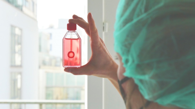 Nachdem die Augenhornhaut in der Gewebebank präpariert und unter dem Mikroskop...