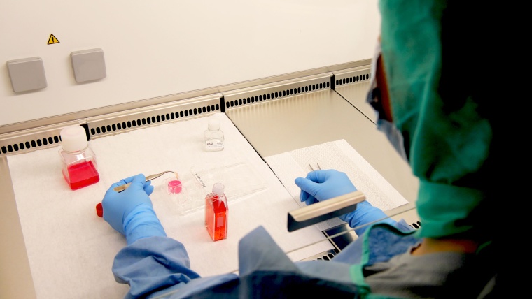 Gewebebank Stuttgart: Aufbereitung der Gewebespenden im Reinraum. Foto: DGFG