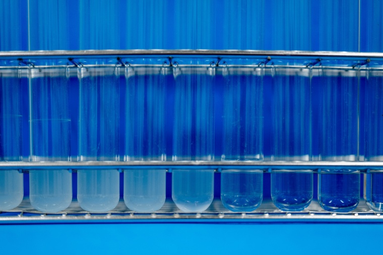 Ansteigende Antibiotika-Konzentrationen - von links nach rechts - hemmen das...