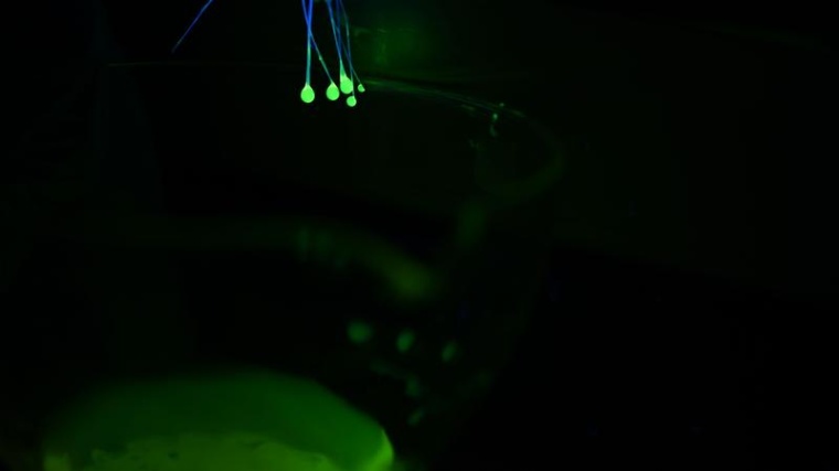 Leuchtende Fasern: Polymerfasern mit einem flüssigen Kern können Medikamente...