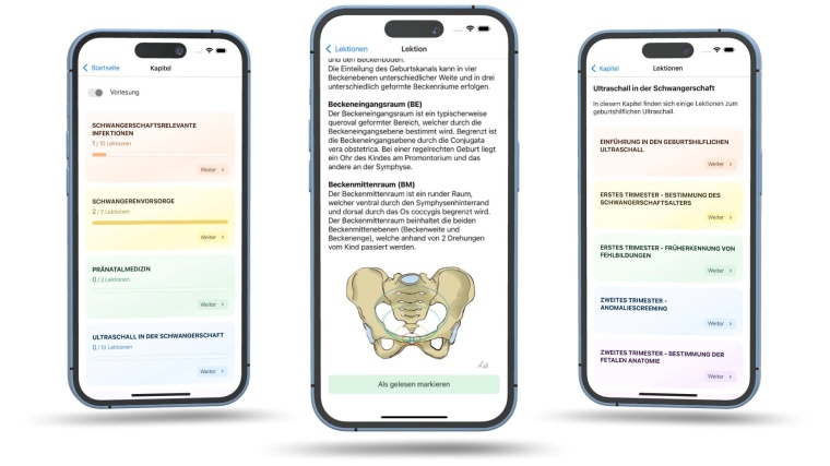 Informativ und nutzerfreundlich: Die Micro-Learning-App basiert auf dem...