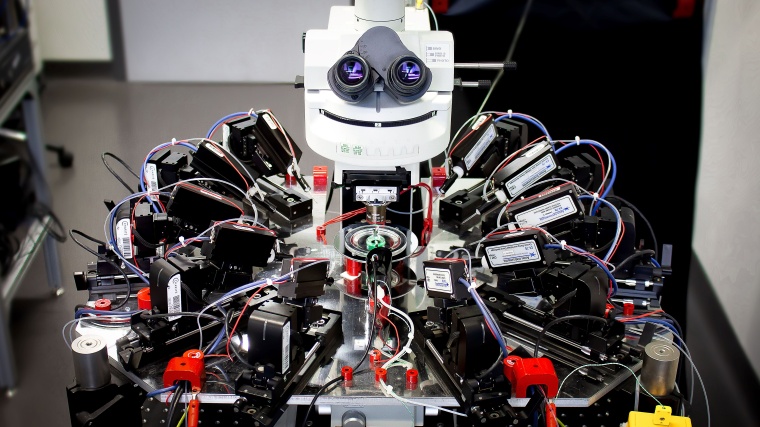 Mit zehn Fühlern dem Tiefschlaf auf der Spur: Dieses freundliche Mikroskop hat...