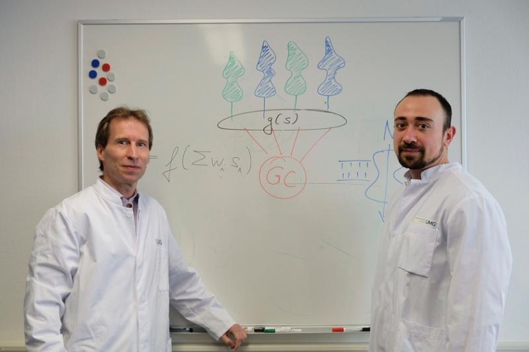 Prof. Dr. Tim Gollisch (l.) und Dr. Dimokratis Karamanlis (r.), Klinik für...