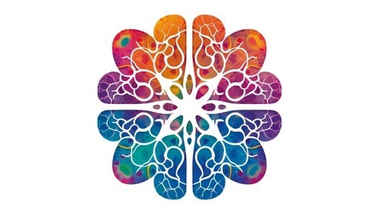 Projekt DECIPHER Foto: TU Dresden