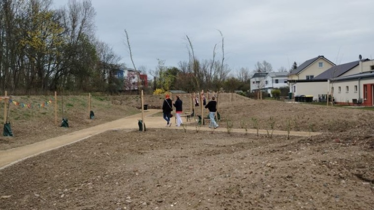 Auf dem im Herbst 2024 bepflanzten Außenbereich des Leipziger Diakonie...