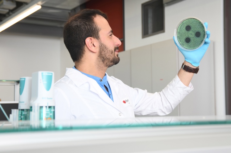 Bioverträglich: Stabil und sicher eingebettet in einen bioverträglichen...