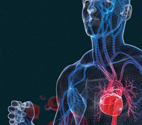 Die Ausstellung „Herzblut im Technoseum in Mannheim zeichnet die Entwicklung...