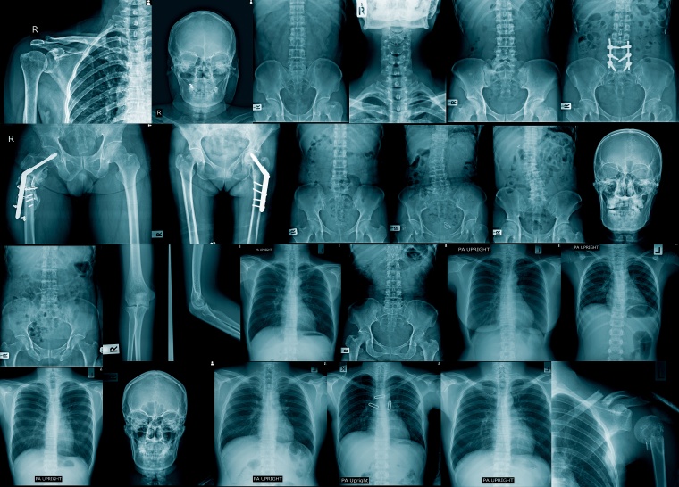 Wiley, Shutterstock 521651008