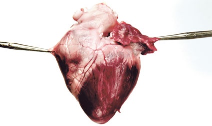 © Jenzig 71/Photocase.de