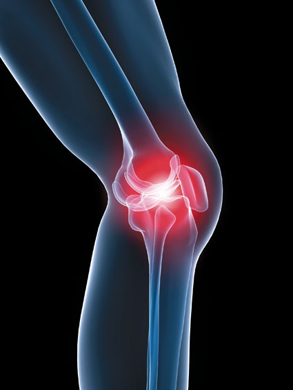 © Sebastian Kaulitzki/fotolia.de