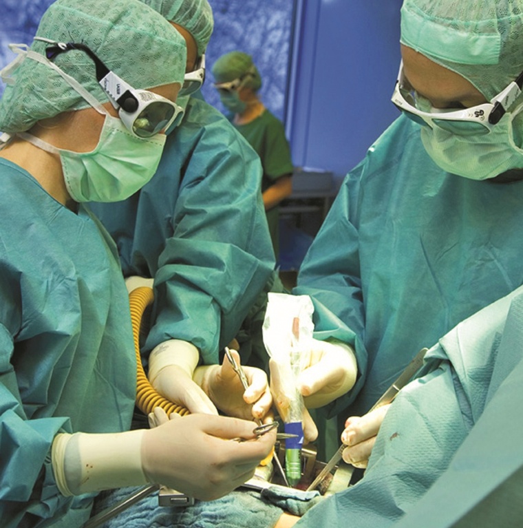 Priv.-Doz. Dr. Graeter und sein Team von der Klinik Löwenstein bei der...