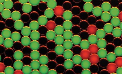 Grüne Wassertröpfchen enthalten einen mutierten DNA-Abschnitt, rote...