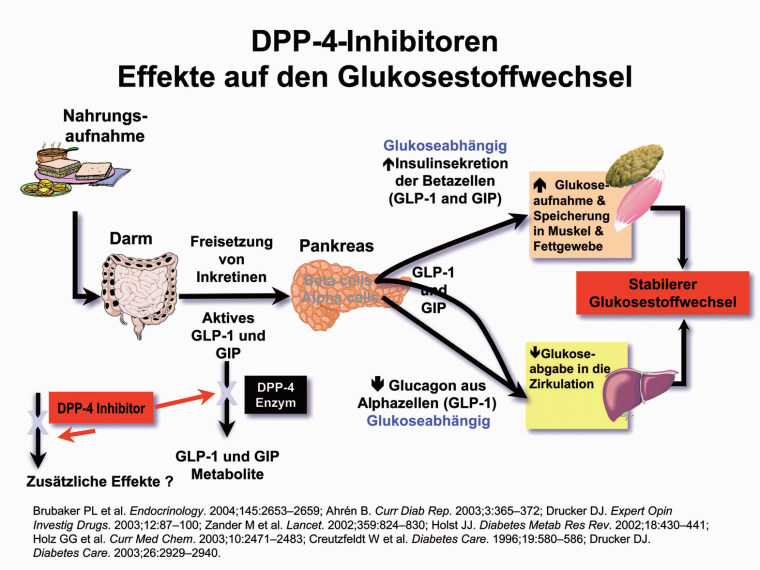 DPP-4-Inhibitoren: Effekte auf den Glukosestoffwechsel
