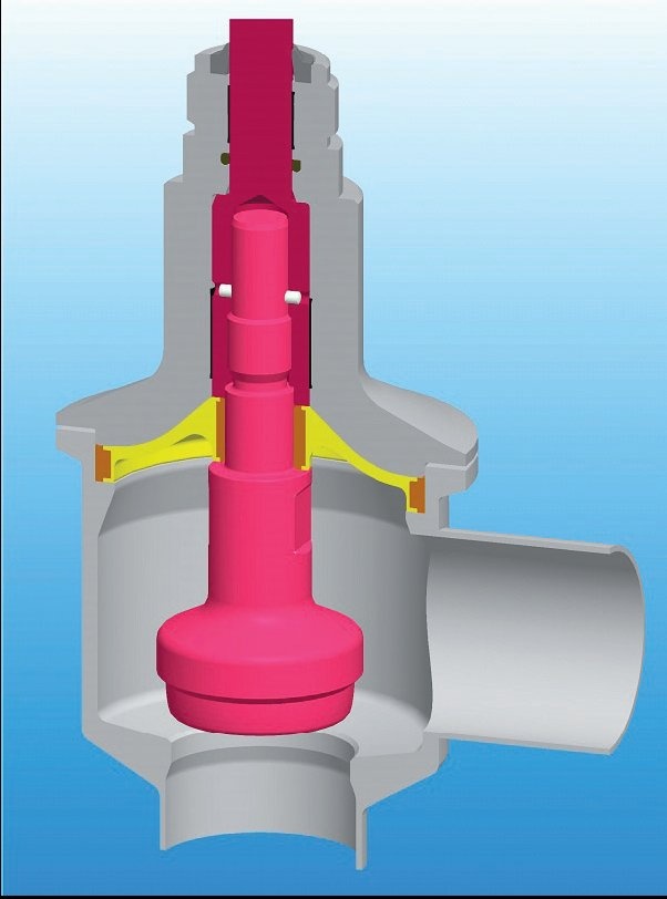 Prof. Dr. Stefanie Dimmeler, Leiterin der Forschungsgruppe Molekulare...