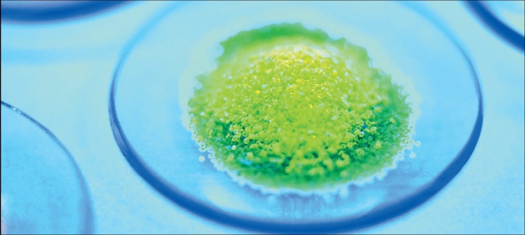 Jürgen Abshoff, Geschäftsführer der Hamburgischen Krankenhausgesellschaft...