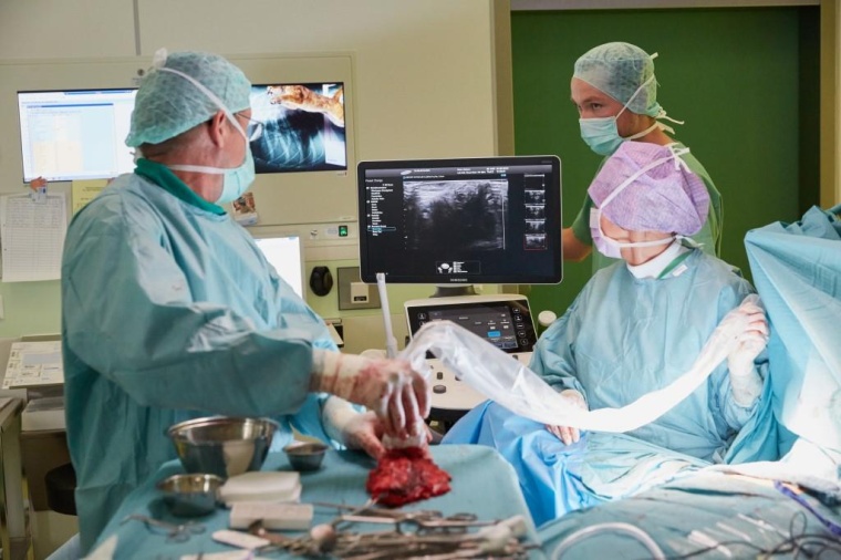 Samsung WS80A: Premium Allround-Gerät für Diagnosen und Operationen