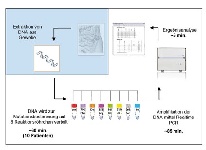 Workflow des TheraScreen EGFR29 Mutationstest auf dem LightCycler 480 System...