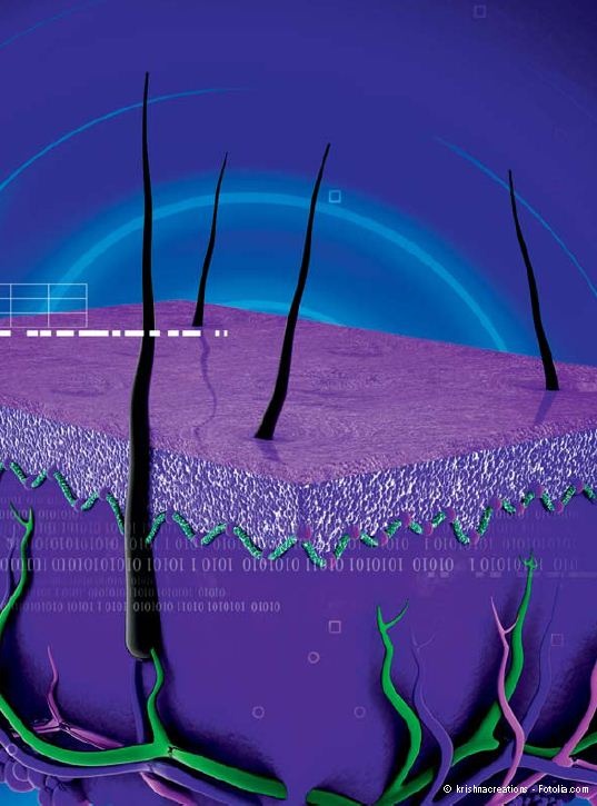 Dermatologie: MedReport 32/2012 zur DWFA-Tagung 2012