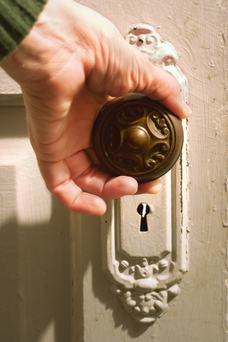 Wiley: Suzanne Tucker/Shutterstock 845328