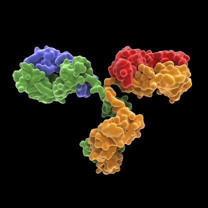 Wiley: Science Photo Library RF/Getty Images 585105255