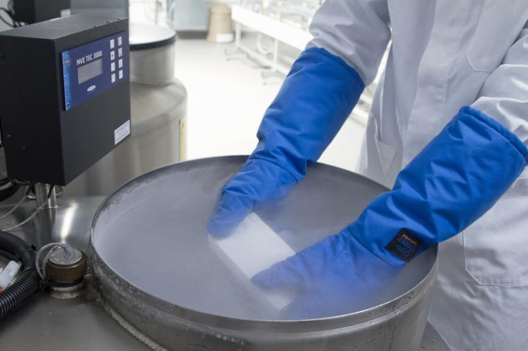 Kryokonservierung: das Aufbewahren von Zellen oder Gewebe durch Einfrieren in...