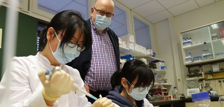 Dr. Linlin Zhang, Prof. Dr. Rolf Hilgenfeld und Xinyuanyuan Sun (v.l.n.r.)....